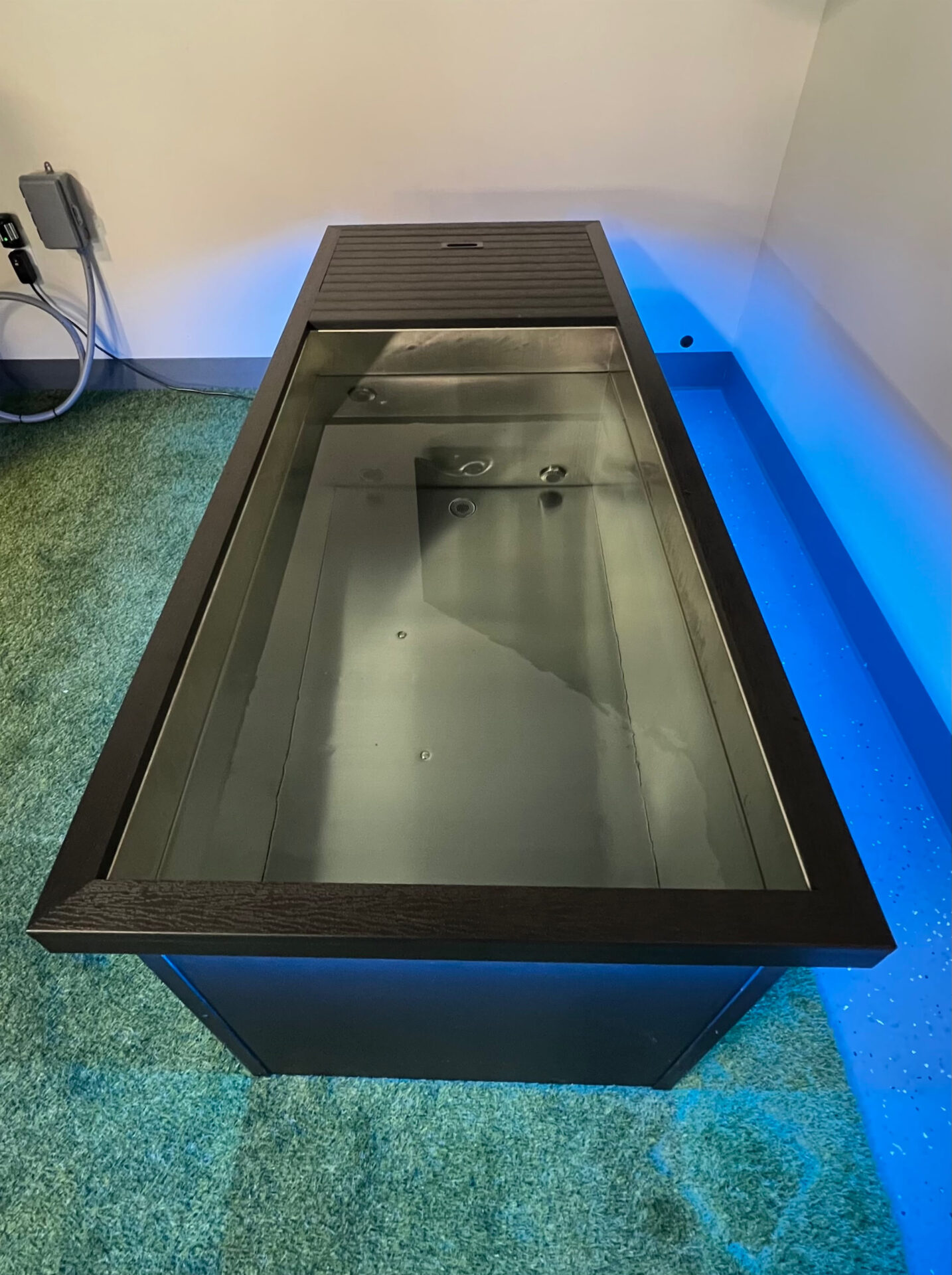 arctic cold plunge tub 1